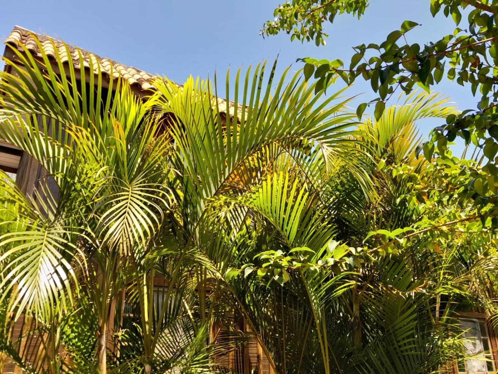 Guarda do Embaú Recanto Das Bromelias Chales מראה חיצוני תמונה